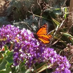 Meet your Posher, Paul